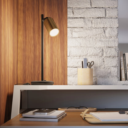 Winx - Lámpara de Techo - 2-Light - Negro Dorado - Acero - GU10 - IP20 - Iluminación de Interior - Diseño Minimalista